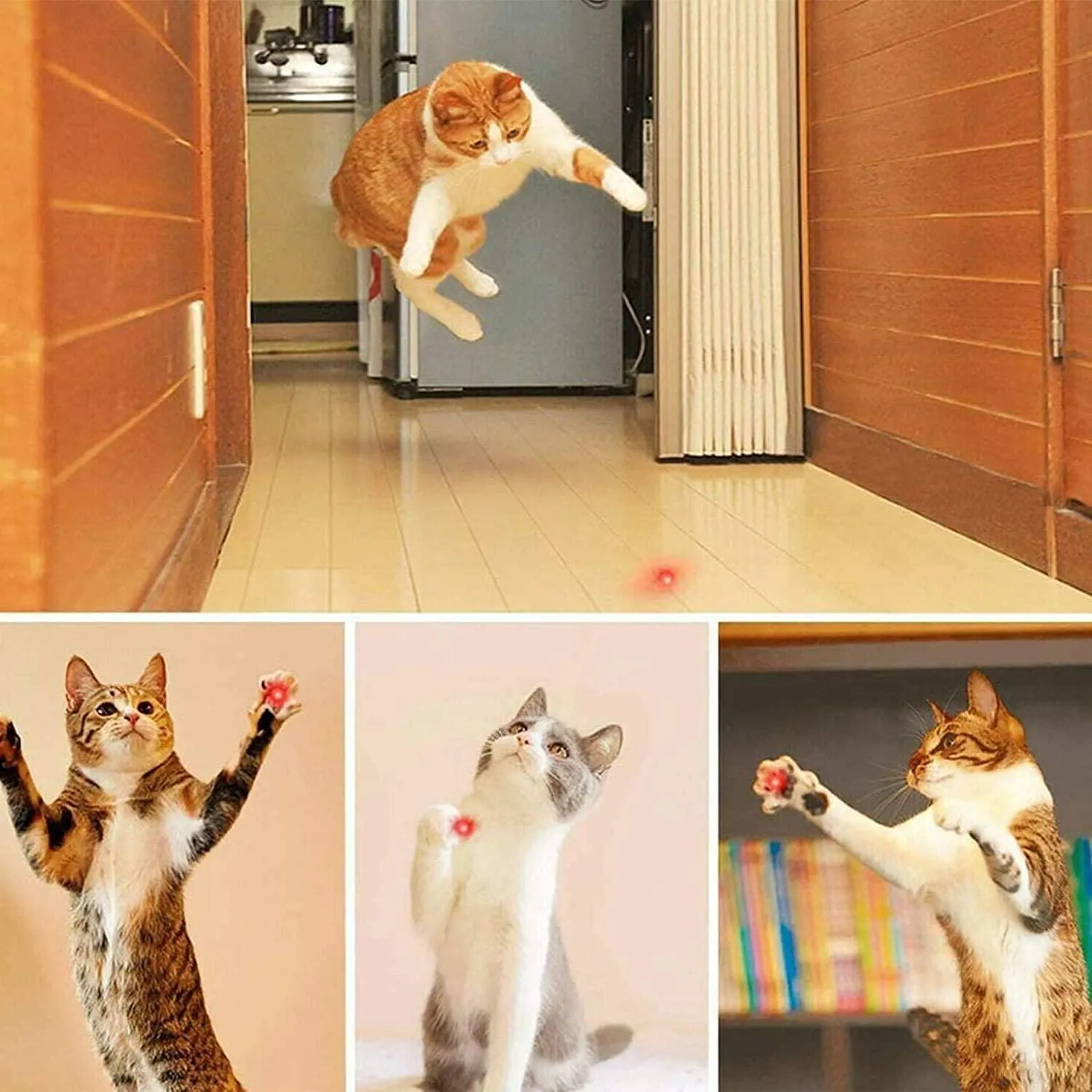 3-in-1 - Interactive Chaser Toy for Kitten/Dogs, USB Rechargeable & Led Light Pointer