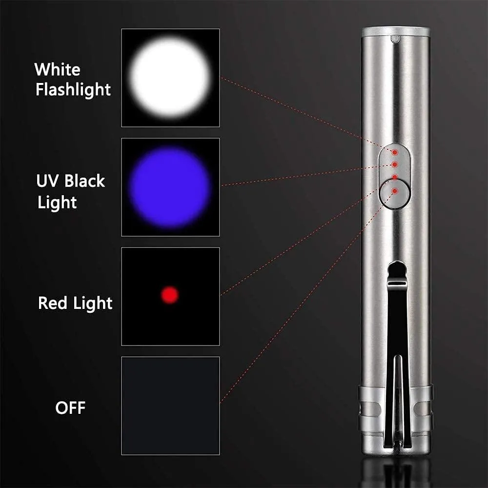 3-in-1 - Interactive Chaser Toy for Kitten/Dogs, USB Rechargeable & Led Light Pointer