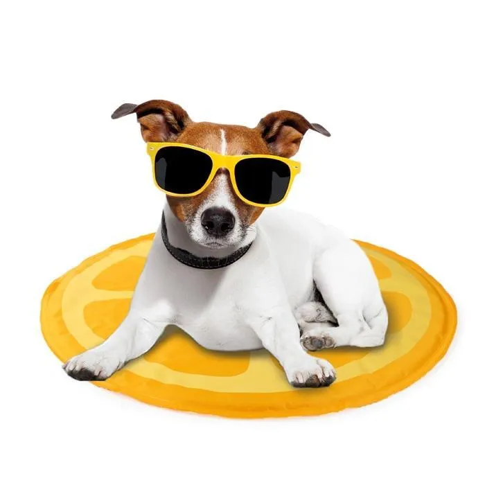 All For Paws Chill Out Orange Cooling Mat