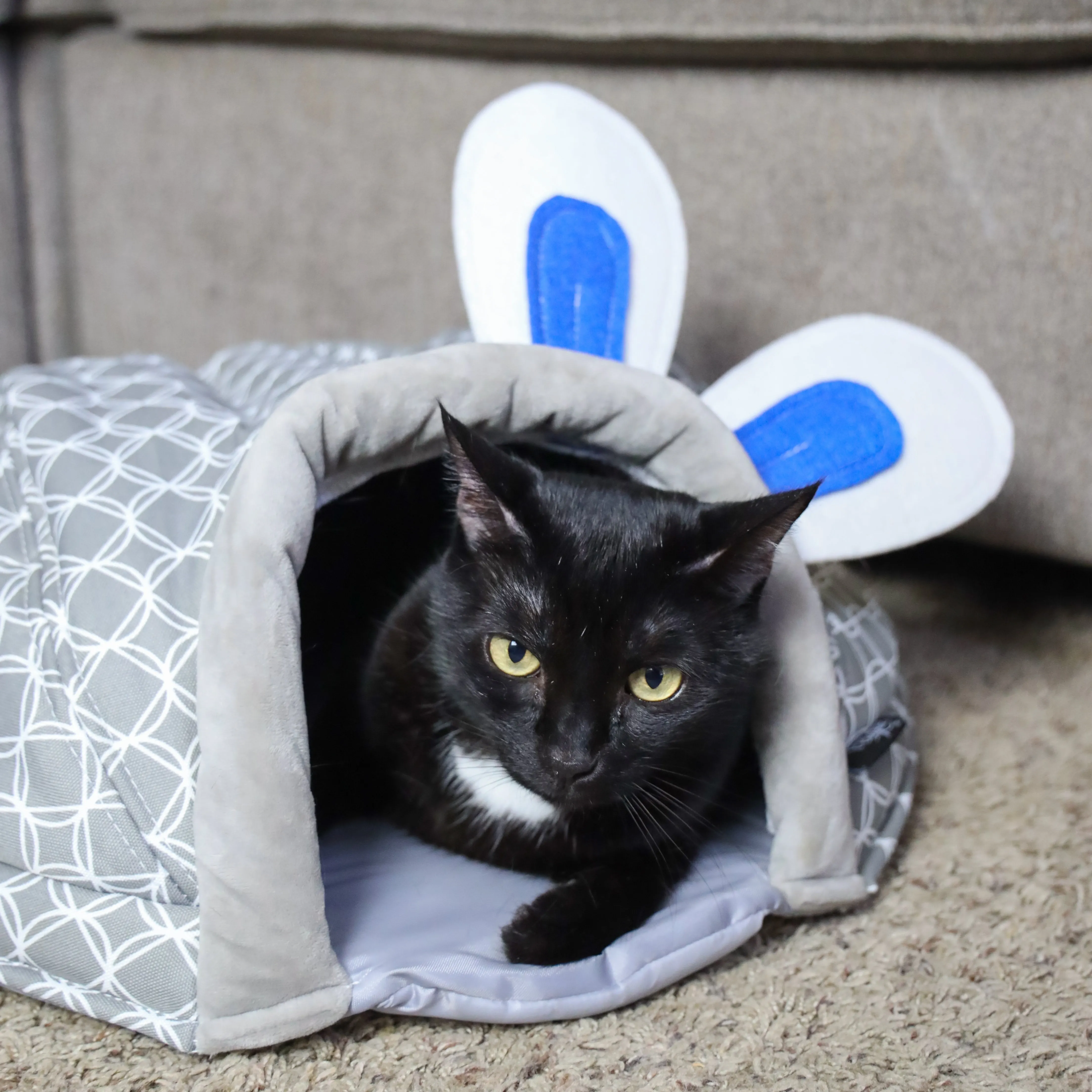 Critter Dome Sleep and Play: Comfortable Soft Material, Security & Snuggling, Durable Fabric, Warm in Winter, Cool in Summer, for Small Animals