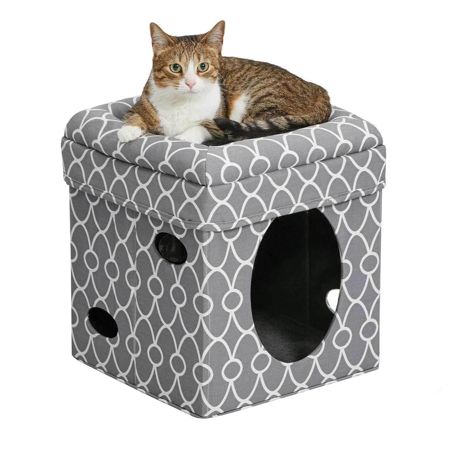 Cube Cat House - Curious Cat Cube - Cozy Cat Hideaway - Midwest Home for Pets
