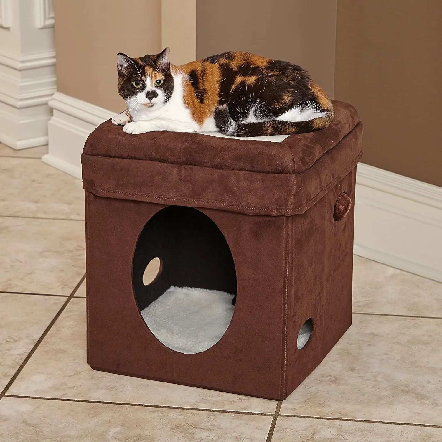 Cube Cat House - Curious Cat Cube - Cozy Cat Hideaway - Midwest Home for Pets