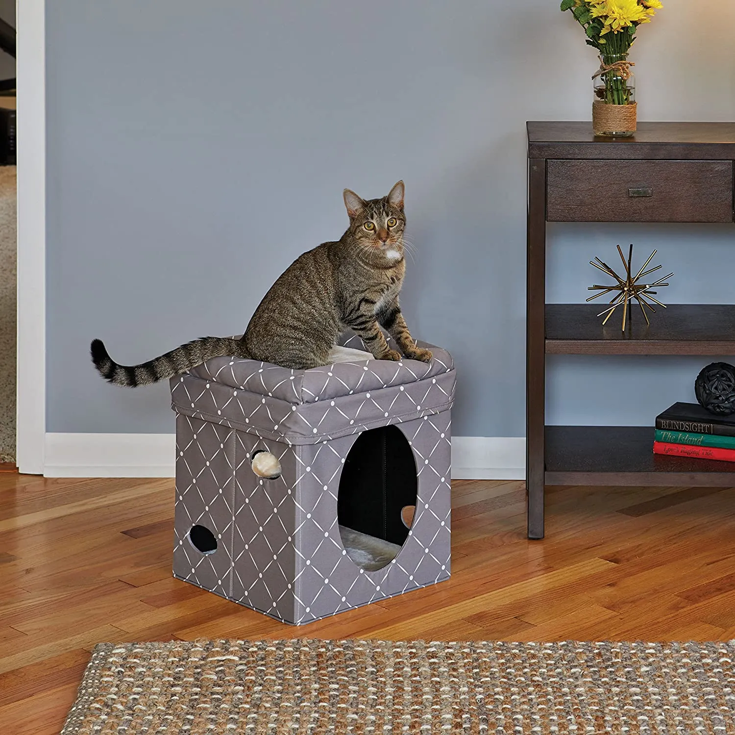 Cube Cat House - Curious Cat Cube - Cozy Cat Hideaway - Midwest Home for Pets
