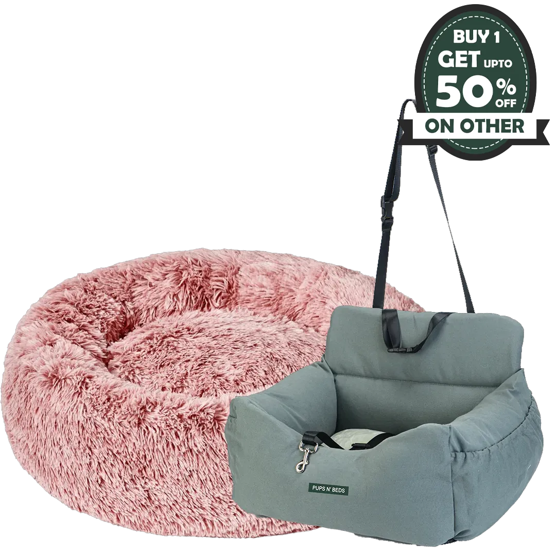 Dog Calming with Car Seat Bed