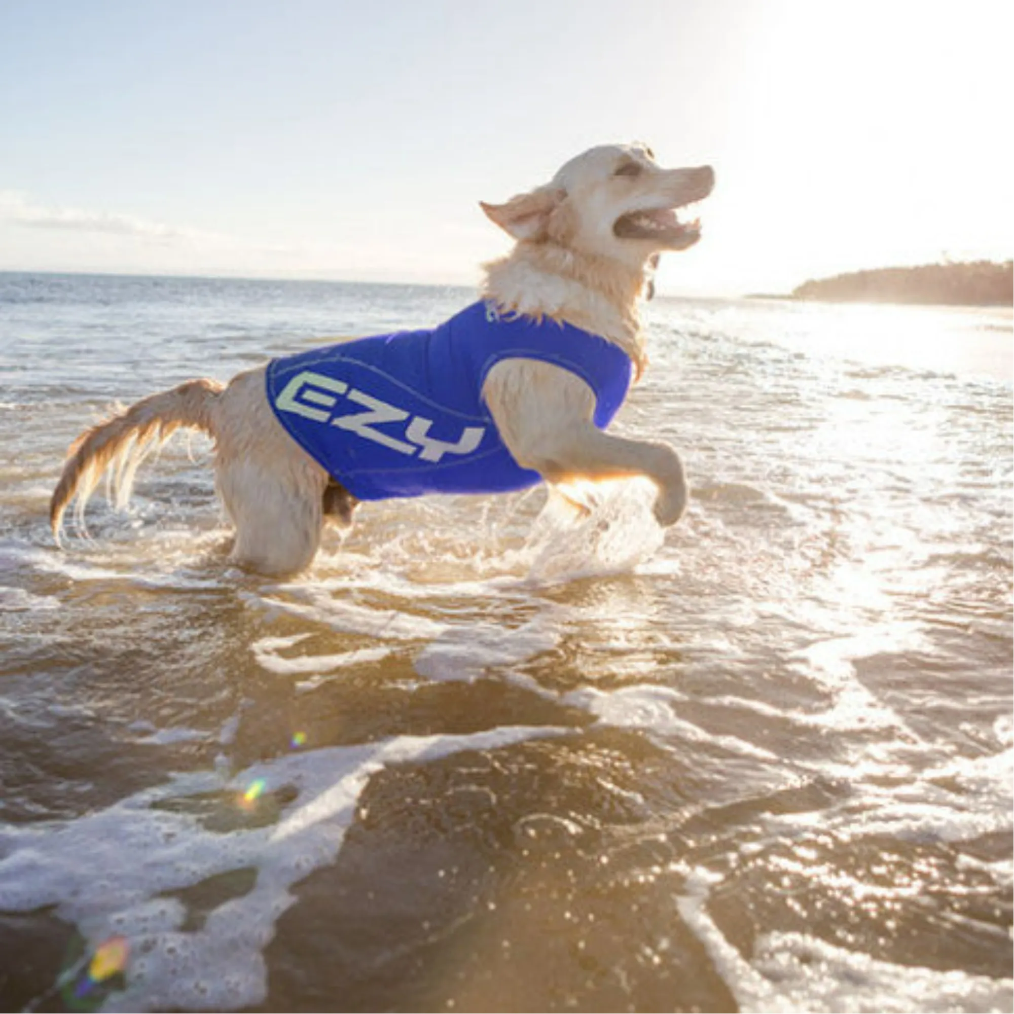Dog Rash Vest