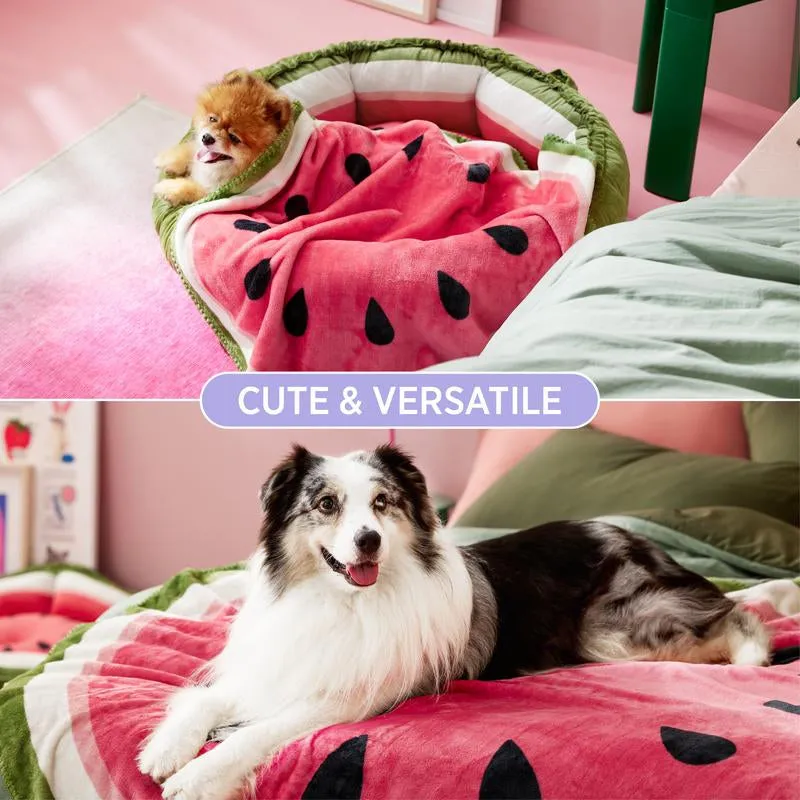 Fruit Pattern Puppy Blanket – Soft Flannel Throw for Small Dogs