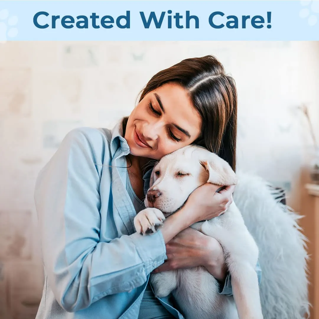 Homestic Rectangular Dog & Cat Bed|Premium Cool Ice Silk with Polyester with Bottom Mesh|Multi-Utility Self-Cooling Pad for Dog & Cat|Light-Weight & Durable Dog Bed|ZQCJ001LB-XS|Light Blue