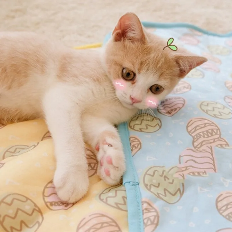 Indoor Outdoor Sleeping Cat Mat