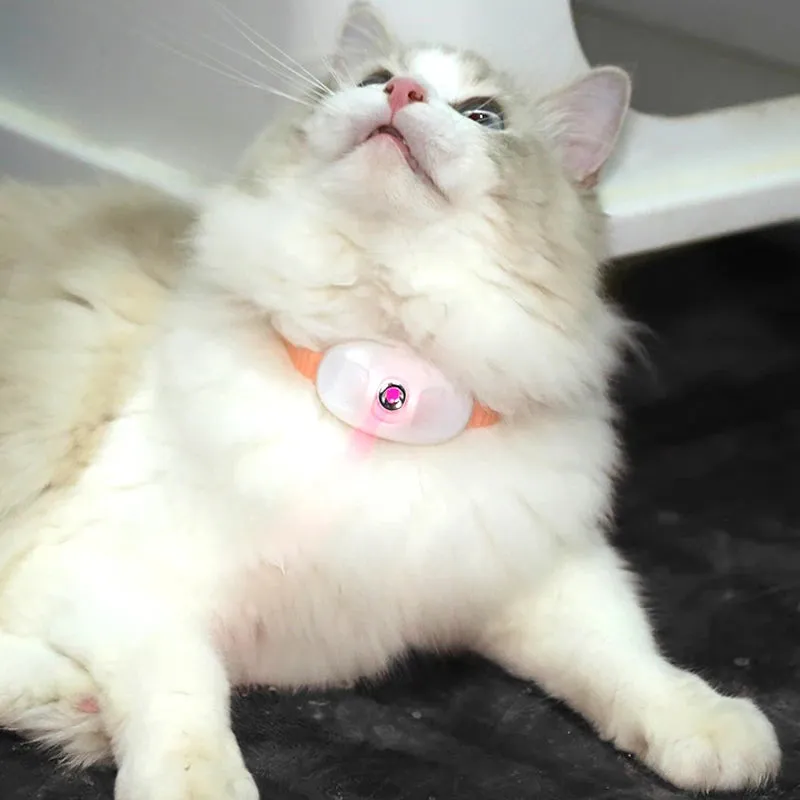 Laser Cat Collar