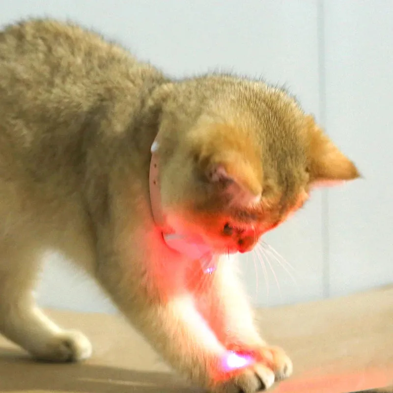 Laser Cat Collar