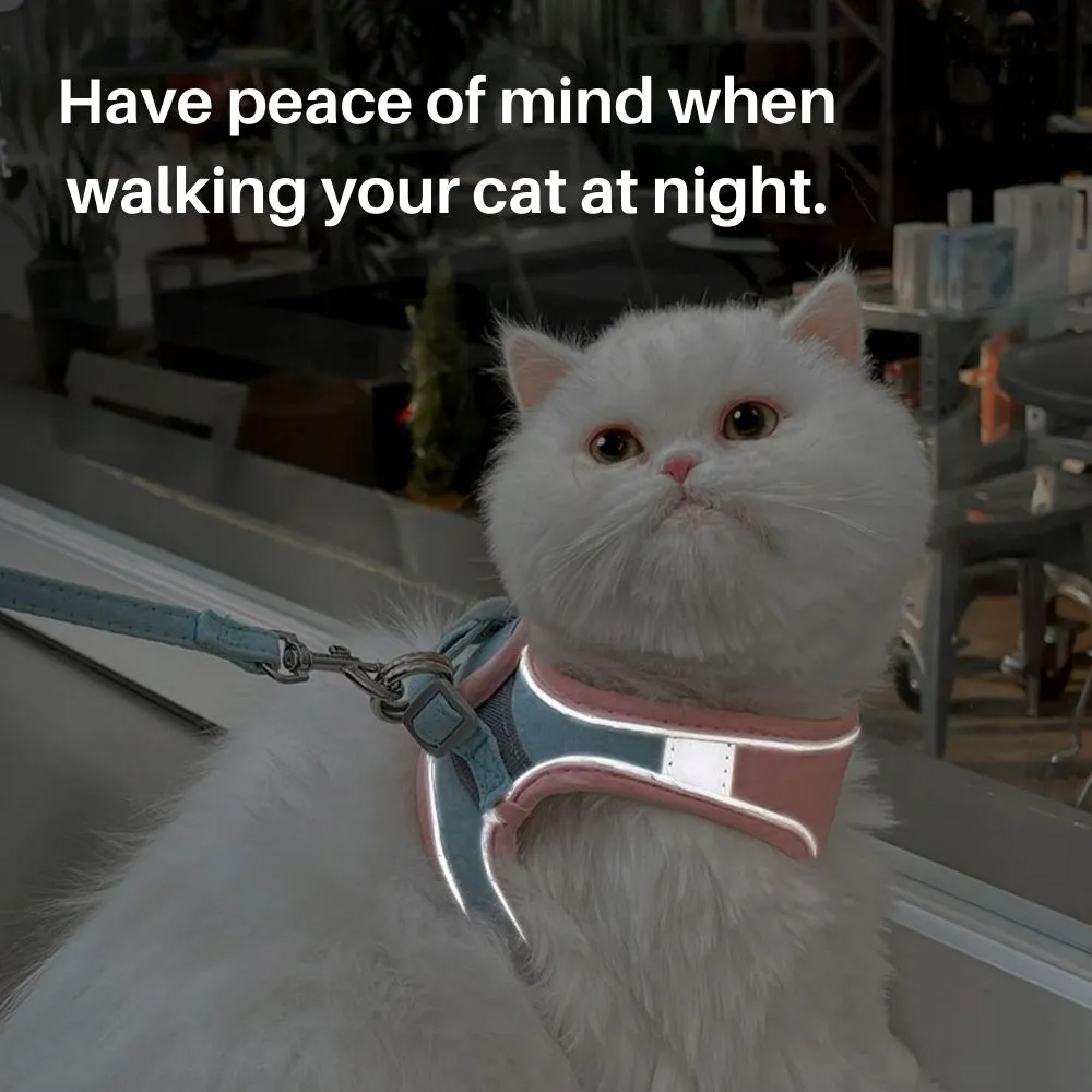 Pawfectly Safe™ Cat Harness And Leash Set