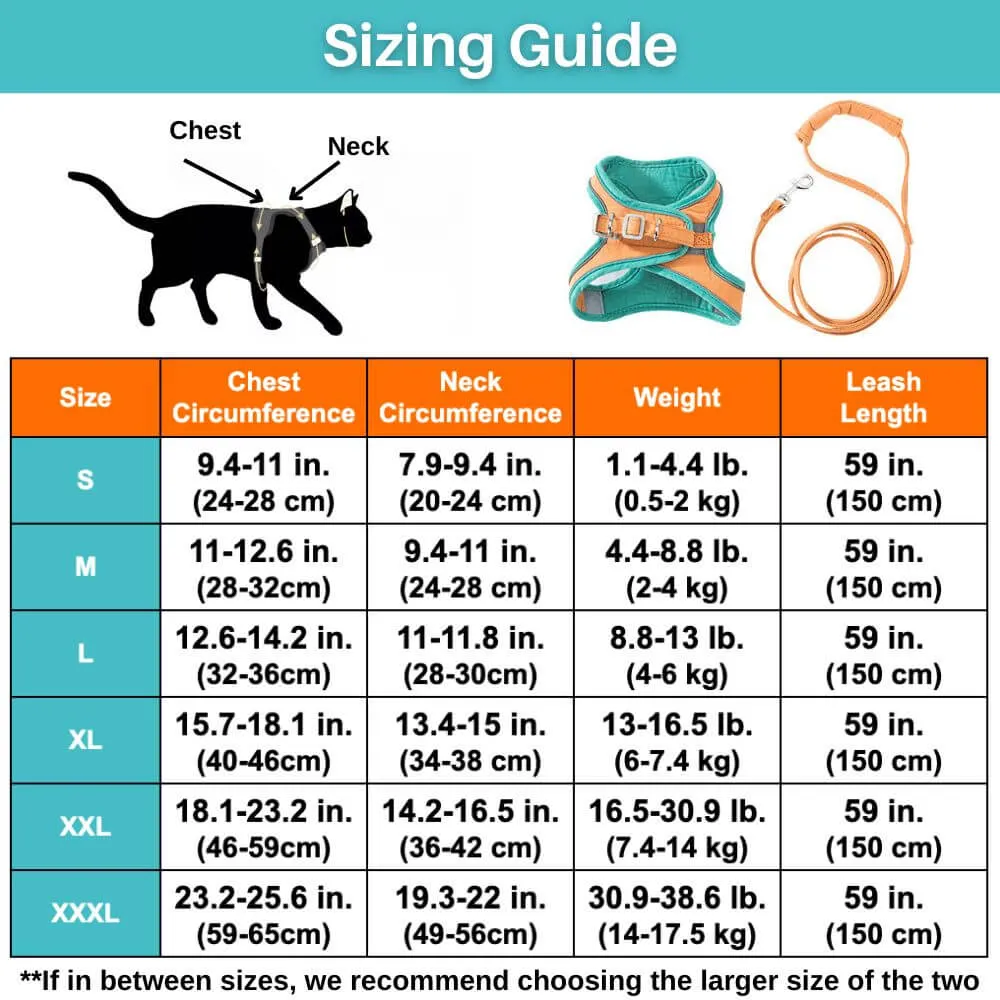 Pawfectly Safe™ Cat Harness And Leash Set