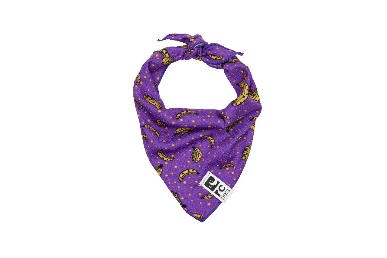 RC Pets Zephyr Cooling Bandana