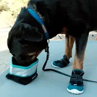 Zippy Paws Adventure Bowl On-the-Go Food & Water Bowl in Teal or Pink Trim